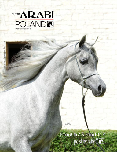 Wydanie nowego numeru Tutto Arabi Poland zbiega się z rekordem oglądalności naszego portalu!