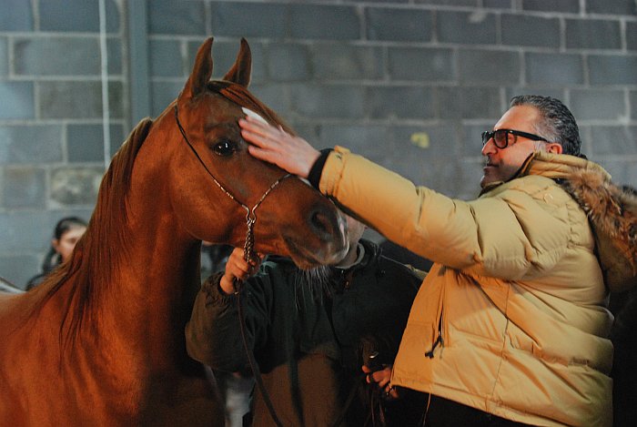 HDB Sihr Ibn Massai with his owner Giampaolo Gubbiotti, by Mateusz Jaworski