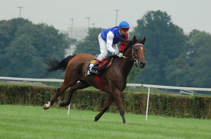 Dzień arabski i debiut Pingi (10-11 sierpnia)