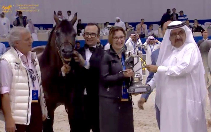 Dekoracja Equatora. W środku Hanna Sztuka (SK Michałów) i Raphael Curti (Privilege Arabian Horse Training Center)