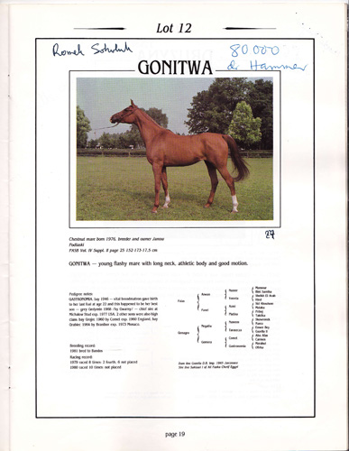 One of the pages of the auction catalogue 1981, with personal notes by Marek Grzybowski. Palas daughter Gonitwa was purchased by Armand Hammer