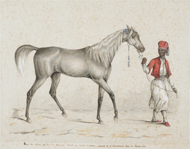 Juliusz Kossak: Grey stallion (1844). Photo of a work from the Regional Museum of Tarnów (Muzeum Okręgowe w Tarnowie) collection, Poland