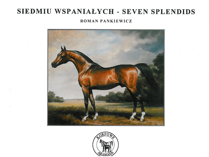 The cover of the book Seven Splendids