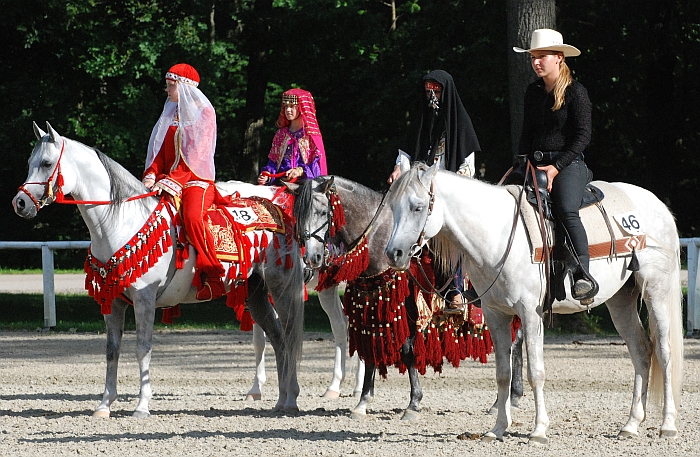 Polskie konie podczas dekoracji: Eurykles, Elbaraday, Decaho, fot. Mateusz Jaworski