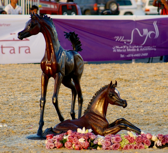 The show ring in Katara, by Monika Luft