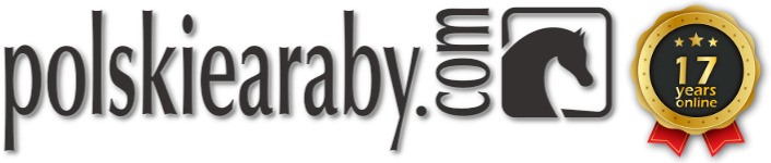 polskiearaby.com - logo 17 lat online