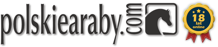 polskiearaby.com - logo PL