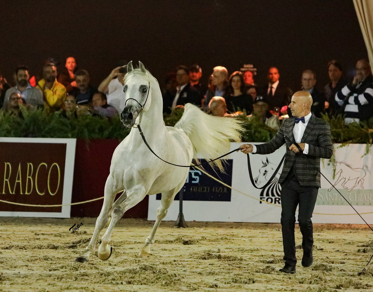 El Jahez WH with Arthur Nascimento during the Brazilian Nationals in 2019, by Tupa