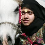 Hamdan Stables
