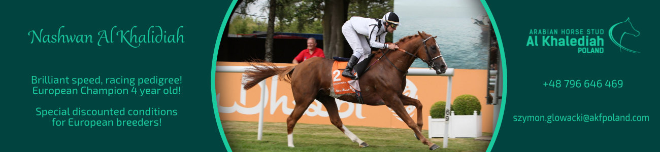 Nashwan Al Khalidiah