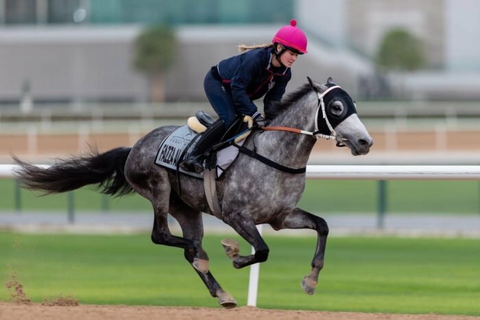 Fazza Al Khalediah by World Horse Racing