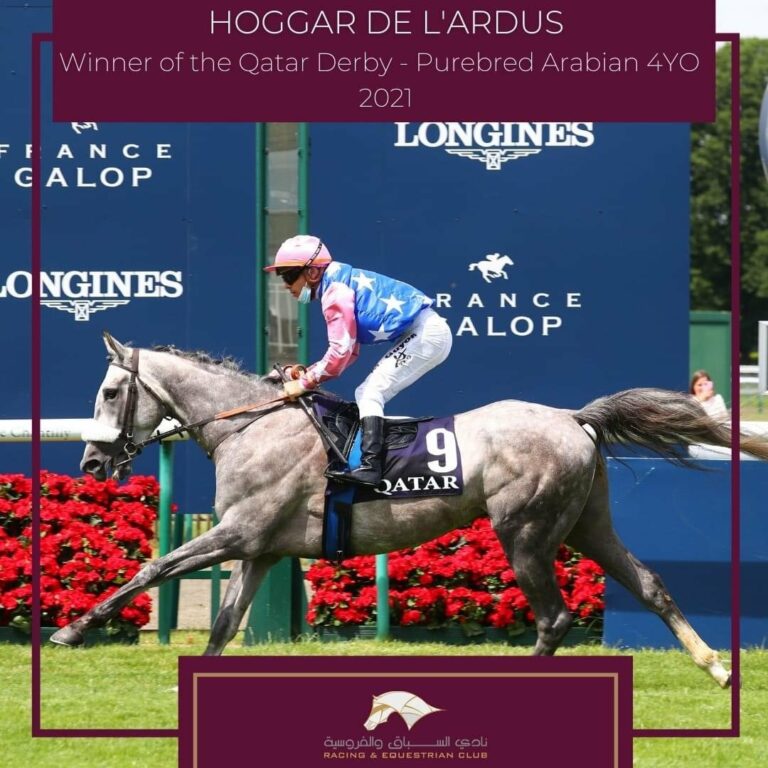 Hoggar De L’Ardus winning Qatar Derby Pur-Sang in Chantilly, photo by Qatar Racing and Equestrian Club