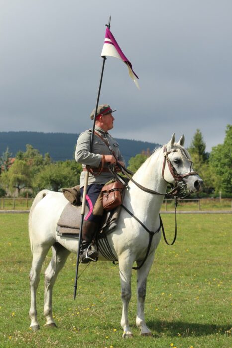 Artur Brzozowski riding Białka-bred stallion Contex (Haytham Albadeia - Constanza by Perseusz), by Natalia Otkała
