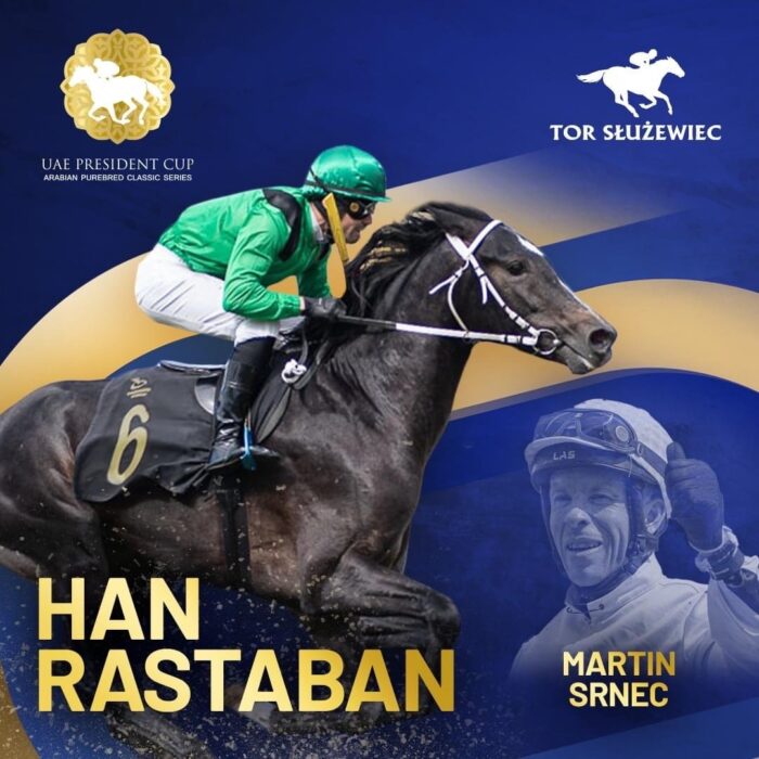 Han Rastaban, 2 m. UAE President Central European Arabian Derby, fot. Tor Wyścigów Konnych Służewiec