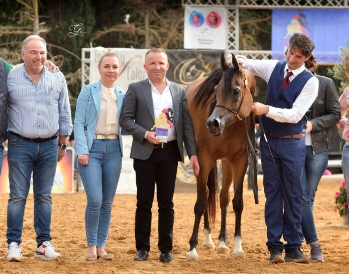 D Dawaly, Gold Medal Senior Mare, during the prize giving ceremony, with the owners and her trainer Paolo Capecci, by Giovanni Messinese