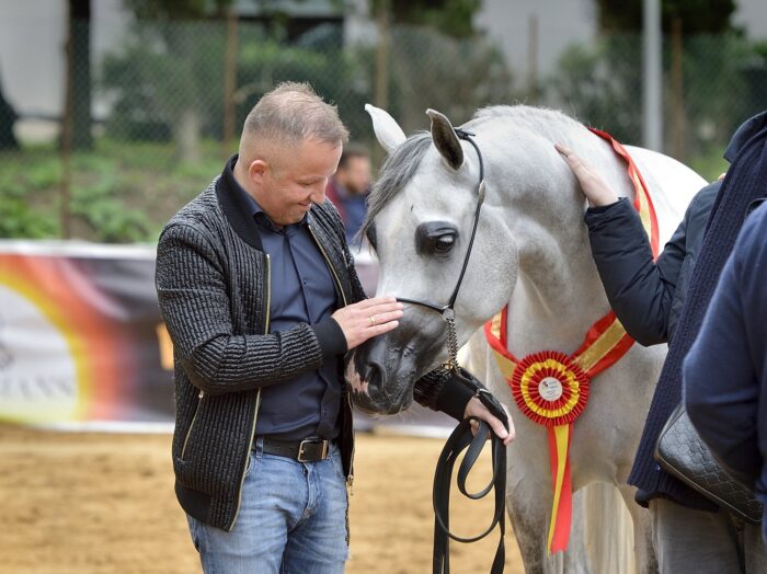 D Leen with the owner, Przemysław Wawrzyńczyk (Lubochnia Arabians), Palermo Arabian Horse Cup, by Giovanni Messinese