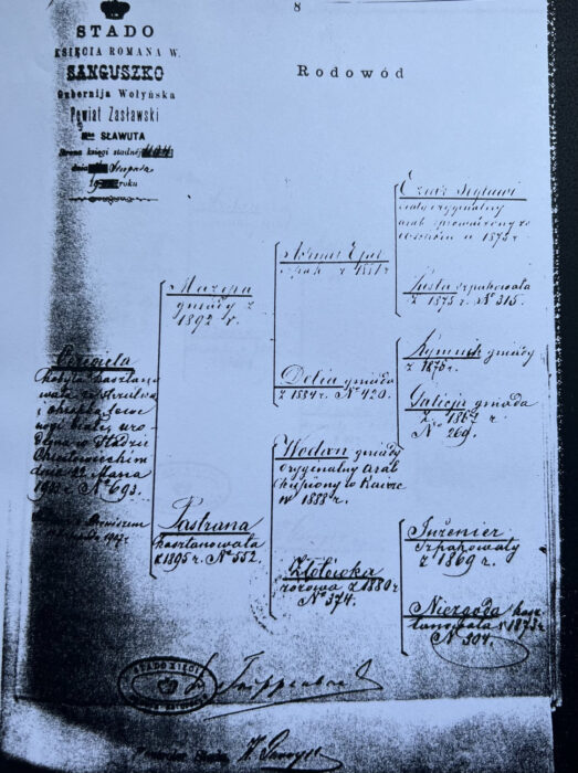 A hand-written pedigree with the seal "Duke Roman Sanguszko Herd", photo: from the archives