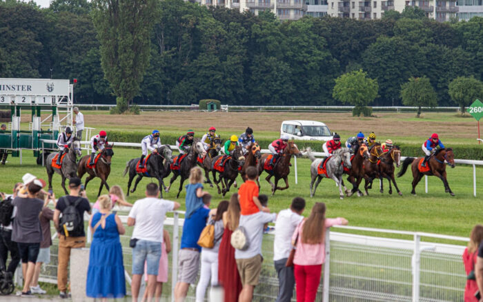 W gonitwie o Nagrodę Janowa - Przychówku wystartowało 14 koni. Ciekawe, ile zostanie zgłoszonych do Derby, fot. Traf Online