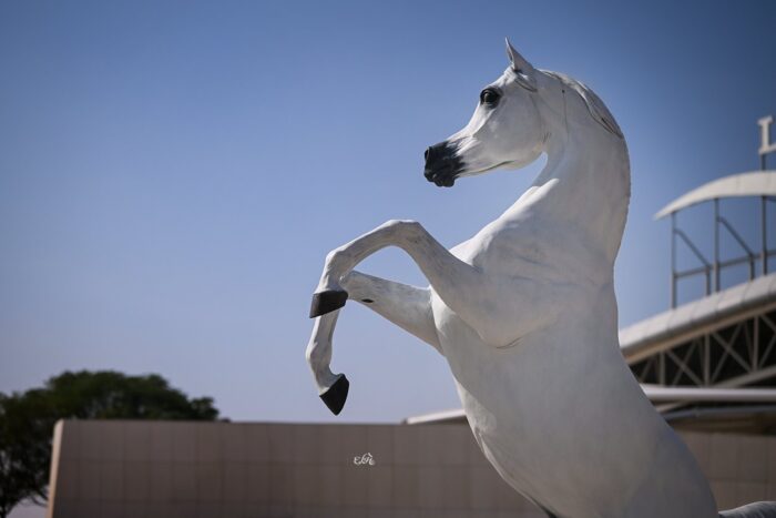 Rzeźba ogiera Al Adeed Al Shaqab, fot. Ewa Imielska-Hebda