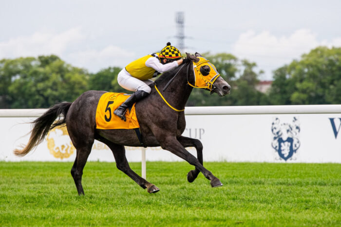 Kasnanova sprawił sporą niespodziankę w gonitwie o Nagrodę Pamira. Fot. Łukasz Kowalski dla Tor Służewiec