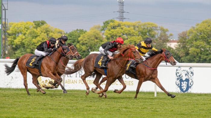 W pierwszym wyścigu dla debiutujących trzylatków sensacyjnie wygrał Addag (od pola, nr 4) pod starszym uczniem Oskarem Nowakiem. Fot Traf Online