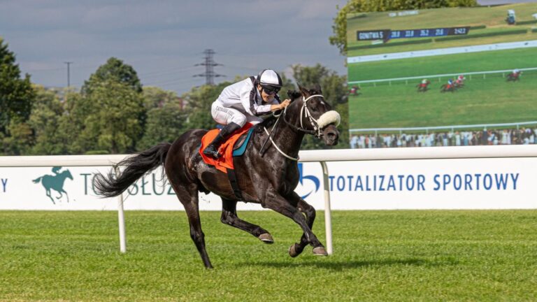 Rasmy Al Khalediah "sam jeden" w w wyścigu o Nagrodę Ofira. Fot Traf Online