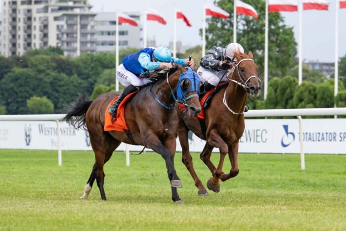 Mistrzowski finisz Szczepana Mazura na Elnizo. Fot. Tor Służewiec