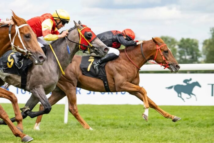 Nagrodę Borka z miejsca do miejsca wygrywa Addag. Fot.Tor Służewiec