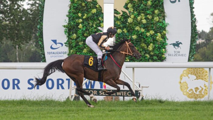 Glossy Gwen odniosła błyskotliwe zwycięstwo. Fot. Traf Online