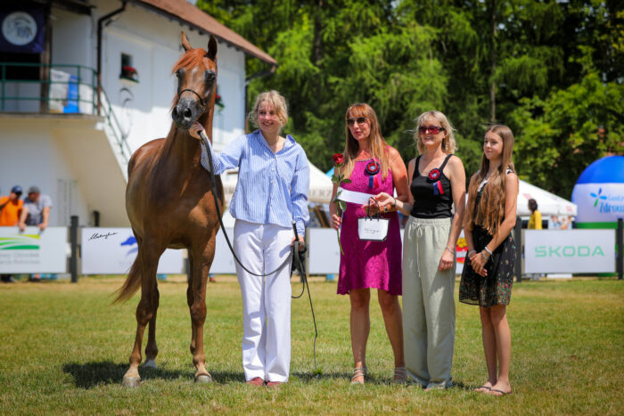 Eliza Tarczyńska and Esmina (Ferrum – Emiliona / Gold Medal), bred and owned by Bogdan Mikołajczuk, win the special award for the bravest amateur presenter – Photo by Patrycja Makowska