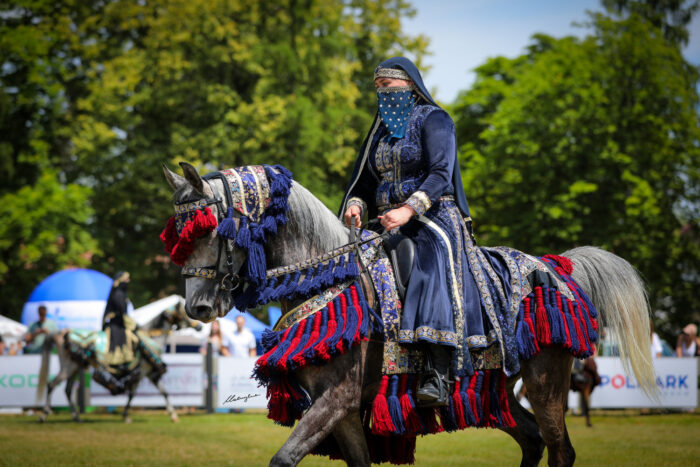 El-Salem (Piaff – El-Zachra / Machmuth Nur), bred and owned by Arkadiusz Nierodkiewicz, during Traditional Arabian Riding – Photo by Patrycja Makowska