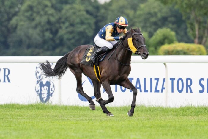 Darkness Al Alshai jest niepokonany na Służewcu w dwóch startach. Fot. Traf Online