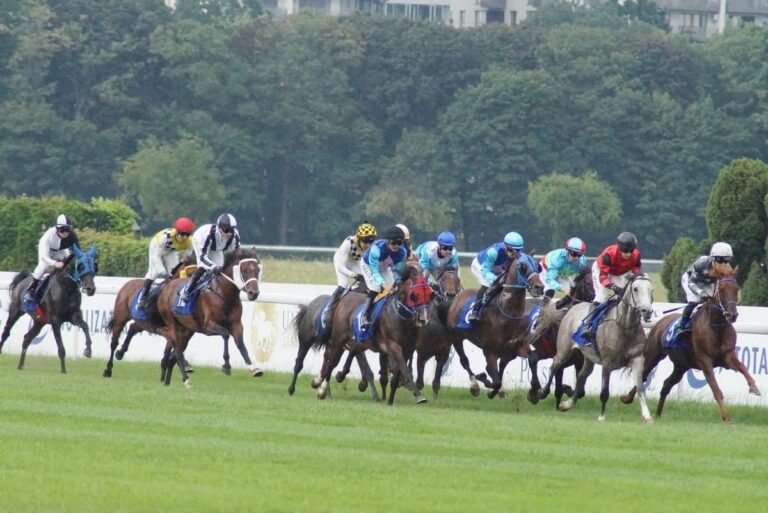 W dystansie Largo Winch prowadził razem z Cewaszem. Fot. Barbara Zalewska
