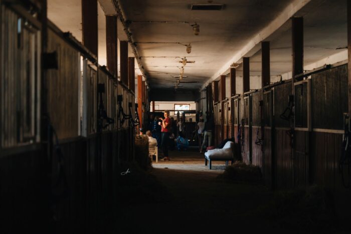 The historic stables of the Sanguszko Princes are bustling with life even in the 21st century – Photo by Auriane Schwanen