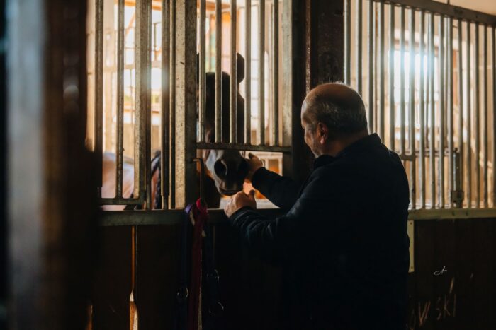 Horse shows are not only about emotions and excitement; sometimes also about melancholy and reflection – Photo by Auriane Schwanen