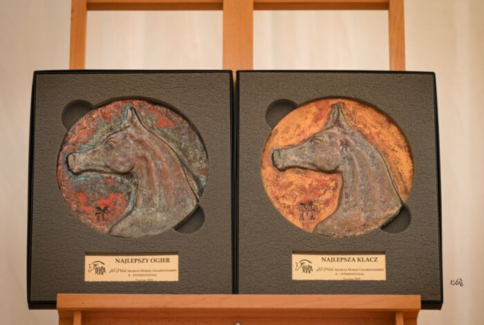 Ceramic medals for the Best Mare and the Best Stallion of the International show, made by Tomasz Mrozowski – Photo by Ewa Imielska-Hebda