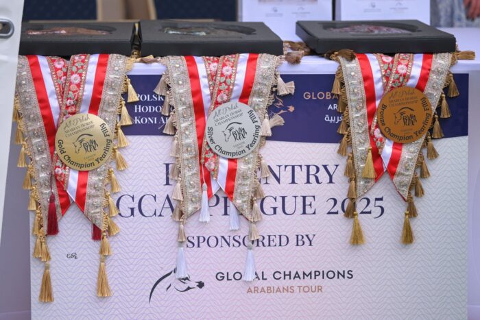 Class winners and medallists received vouchers to participate in the GCAT Prague show in early September 2025 – Photo by Ewa Imielska-Hebda