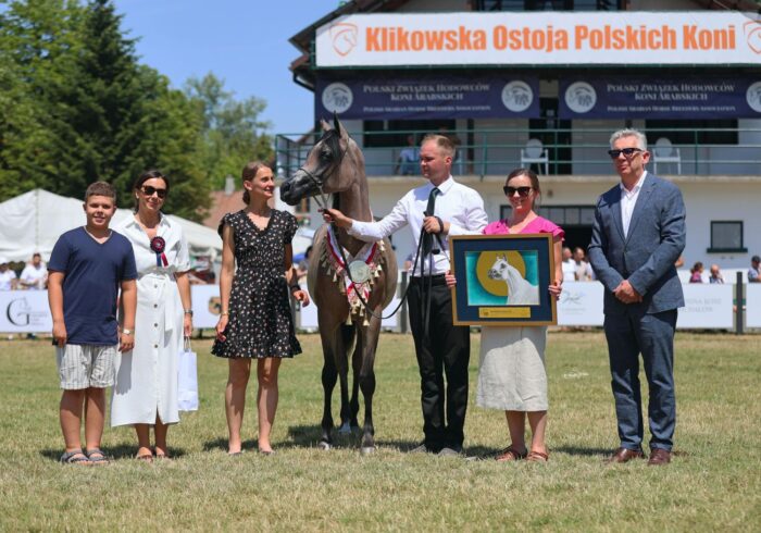Janów’s Cornelia was named the Yearling Filly Gold Champion at the European show – Photo by Sylwia Iłenda