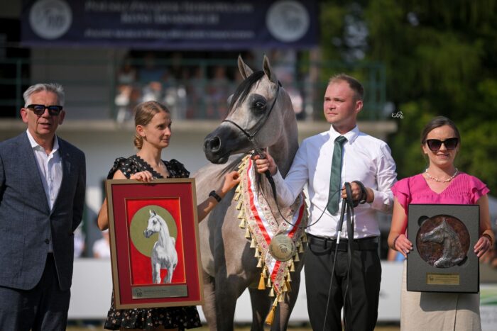 Team Janów Podlaski proud of the result of the grey Elzoya and her gold medal in the Junior Mares Championship – Photo by Ewa Imielska-Hebda