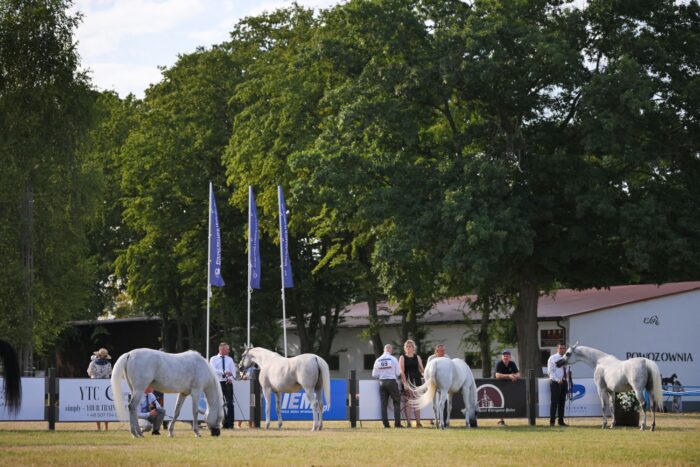 See you in Klikowa in July 2026! – Photo by Ewa Imielska-Hebda