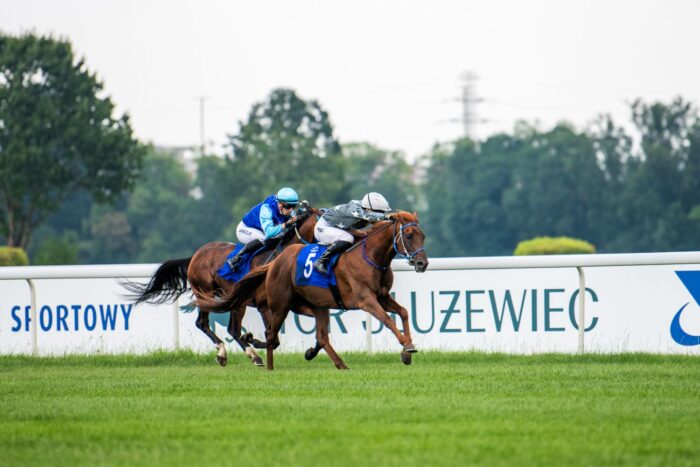 Prosta finiszowa tegorocznego Derby – Fot. Tor Wyścigów Konnych Służewiec