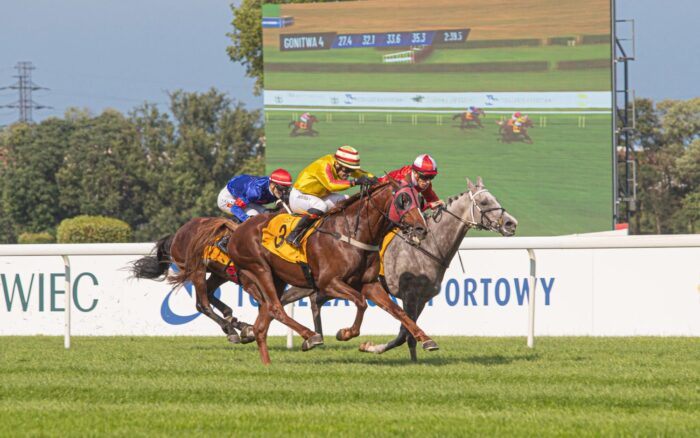 Końcówka Nagrody Figaro – Fot. Tor Wyścigów Konnych Służewiec