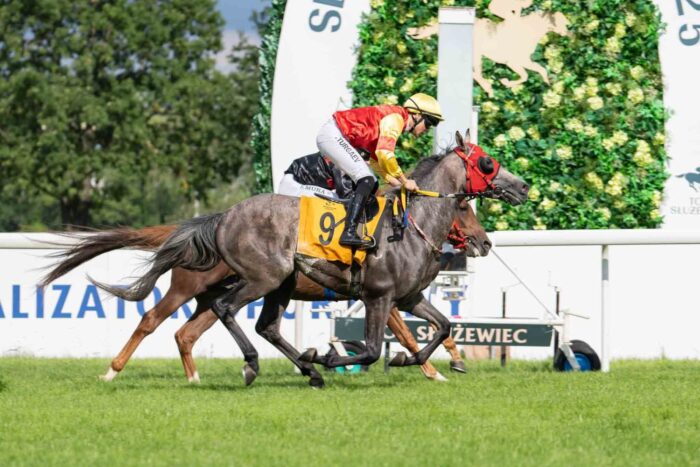 Końcówka Nagrody Europejczyka – Fot. Traf Online