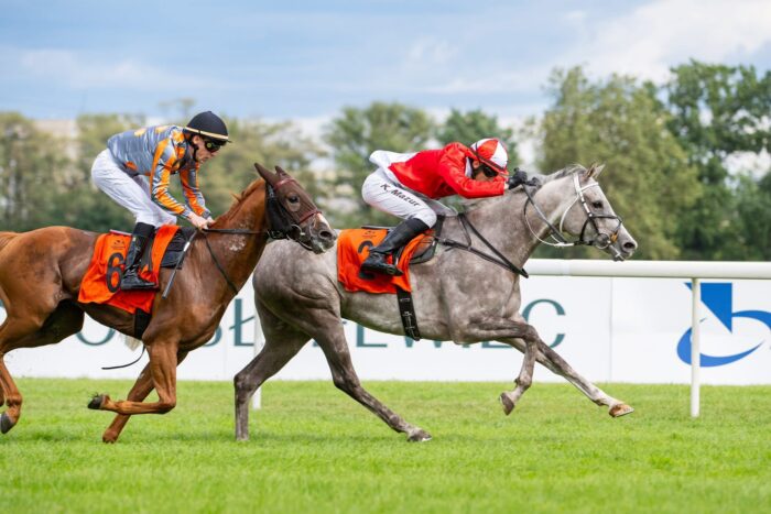 Końcowe metry Traf Warsaw Online. Lindahls Anakin obronił się przed atakiem Power Bolta. Fot. Traf Online