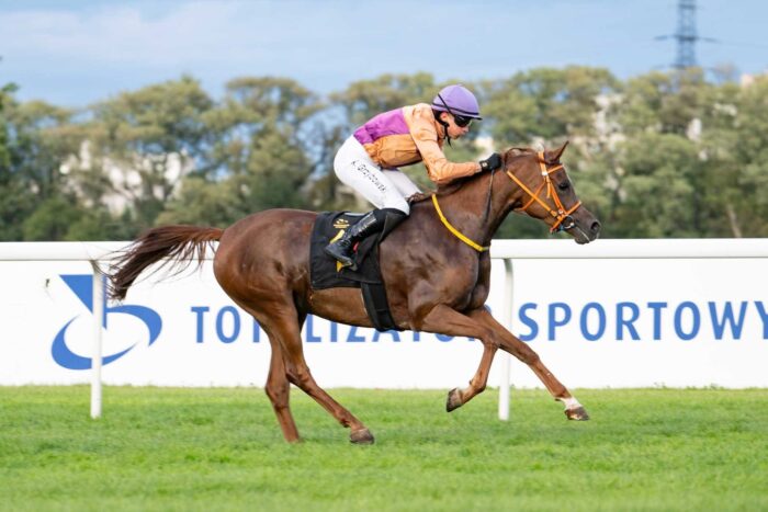 Antyfona w czterech stratach był dwa razy pierwsza i dwukrotnie druga. Fot. Traf Online