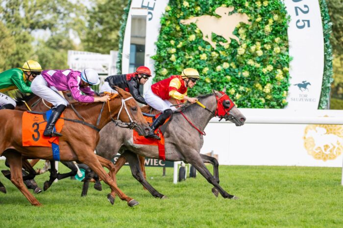 Grupa aż pięciu koni na mecie gonitw o Nagrodę Białki.Na czele Ammas. Fot Traf Online