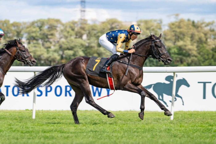 Darckness Al Ashai wygrał trzeci raz z rzędu. Fot. Traf Online