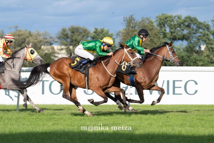 Cała "obora" trenera Janikowskiego w celowniku. Fot Traf Online