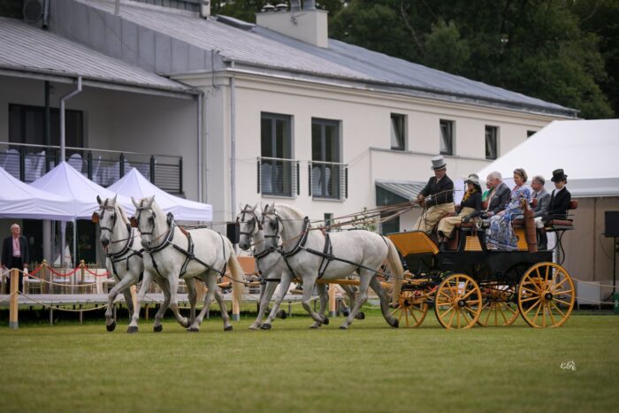 Sędziów i pozostałe osoby oficjalne codziennie przywozili na plac pokazowy w zabytkowych bryczkach partnerzy Dni Konia Arabskiego z Polskiego Towarzystwa Powozowego – Fot. Ewa Imielska-Hebda