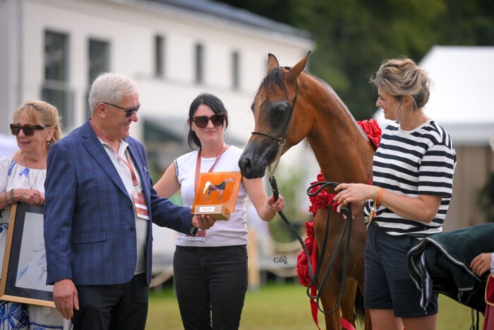 Złoty Czempion Ogierów Rocznych Pokazu Narodowego: Gellatto – Fot. Ewa Imielska-Hebda
